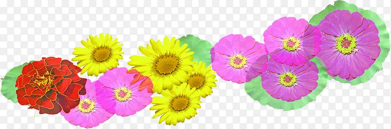 �ֻ��ɫ���亣��-������