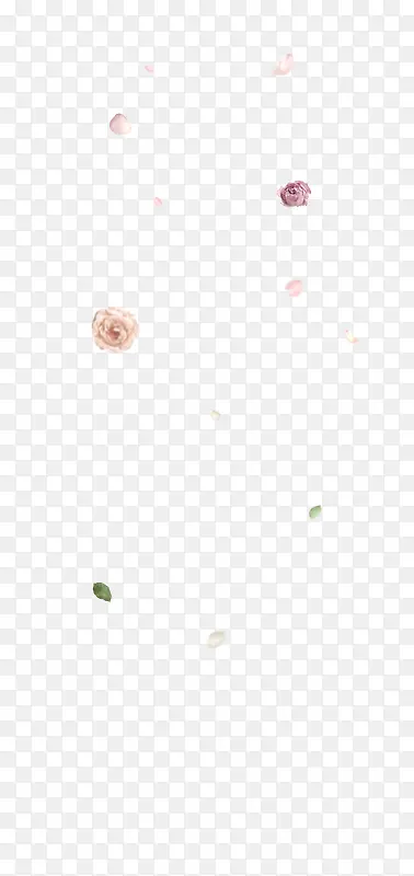 ���ֲ�ɫС����-������