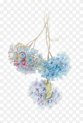 ��ɫ�����׹-������