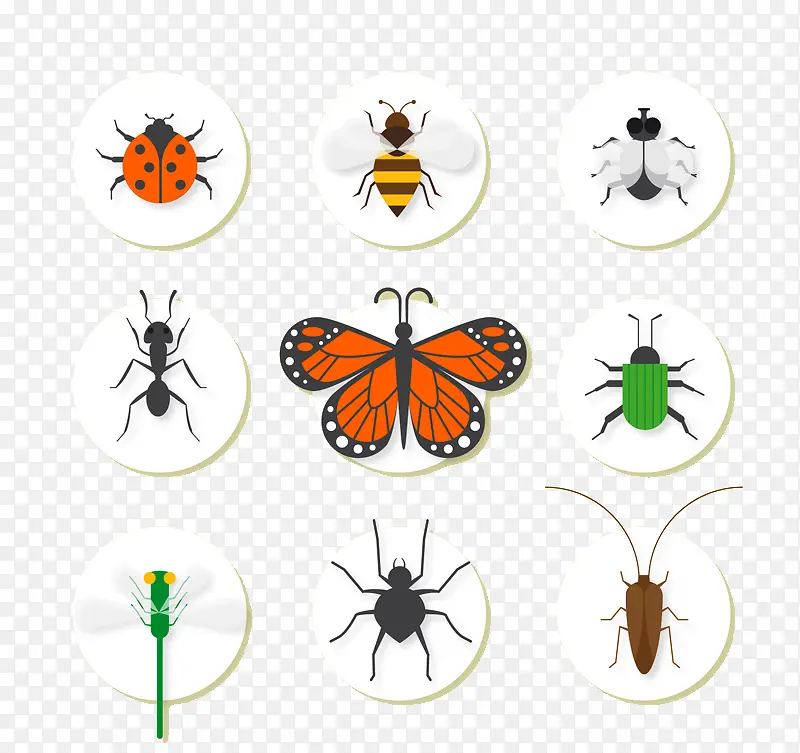 ��ͨ����-������