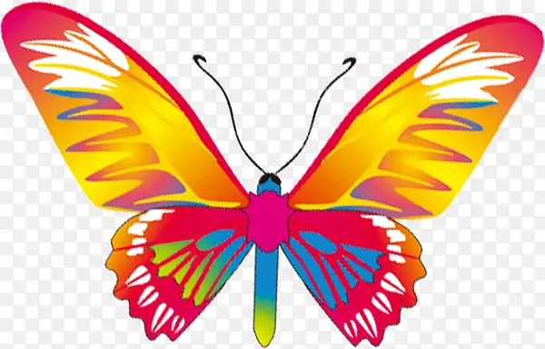 �Ųʿ�ͨ�ɰ�����-������