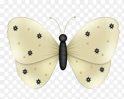 ��ɫ��ͨ����-������