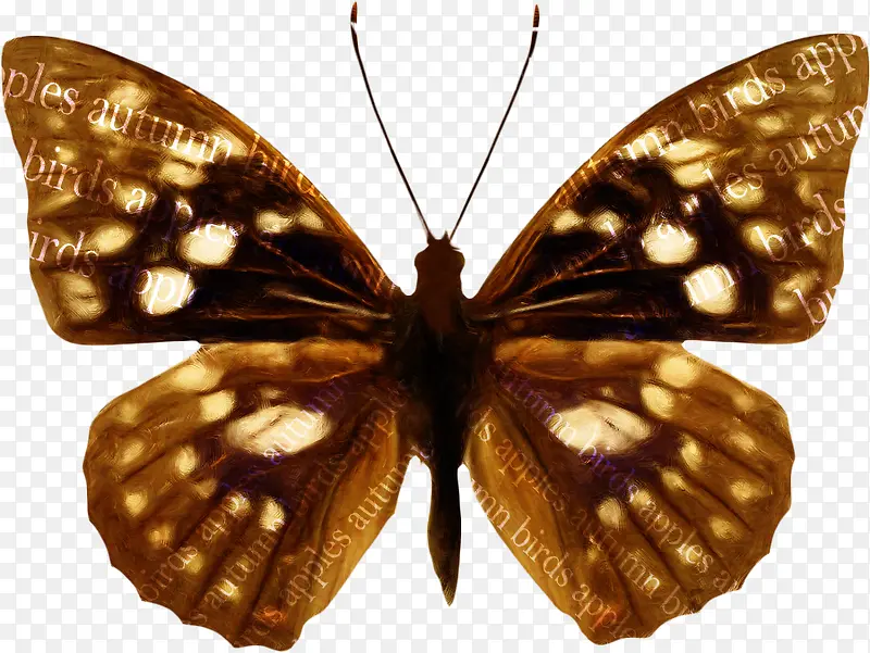 ��������ɫ������-������