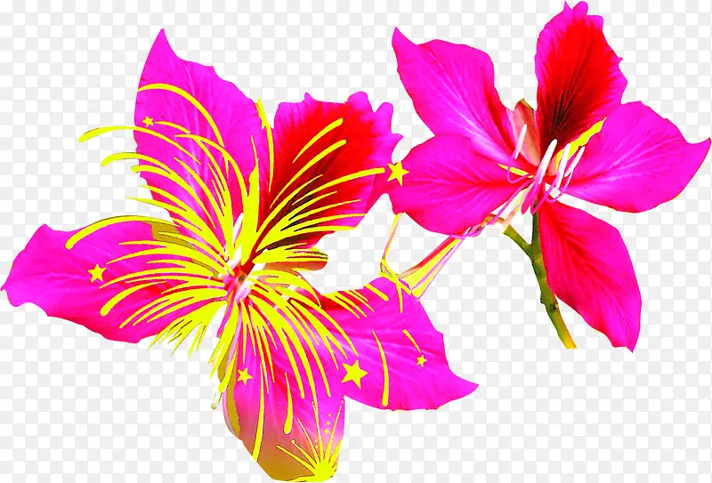 ����ڴ�����ۻ�-������