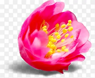 ����ڴ��������-������