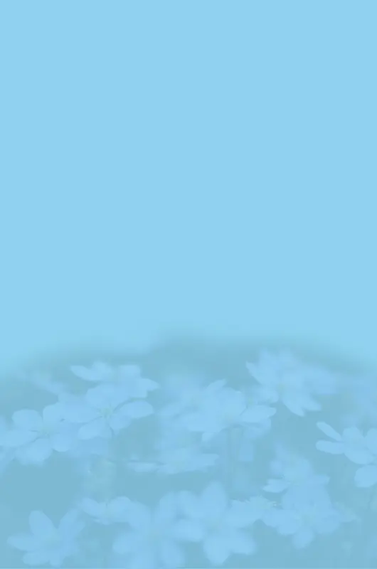 ��ɫ����-������