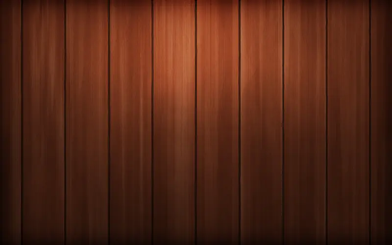 ľ�ʵذ屳��-������