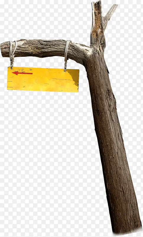 �ɿ���֦��ͷ·��-������