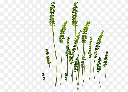 ��-������