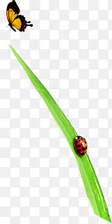 ��-������