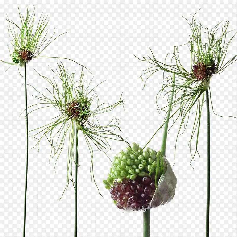 ��-������