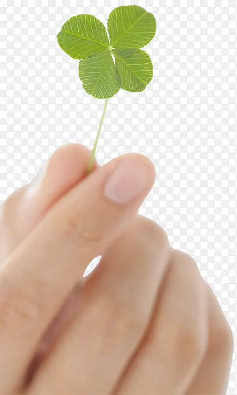 �������˲�-������