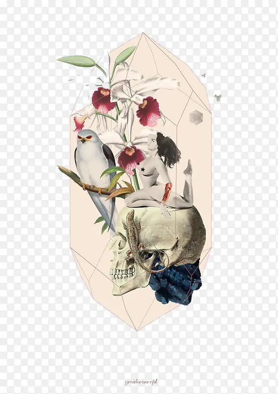 �������ͼ��-������