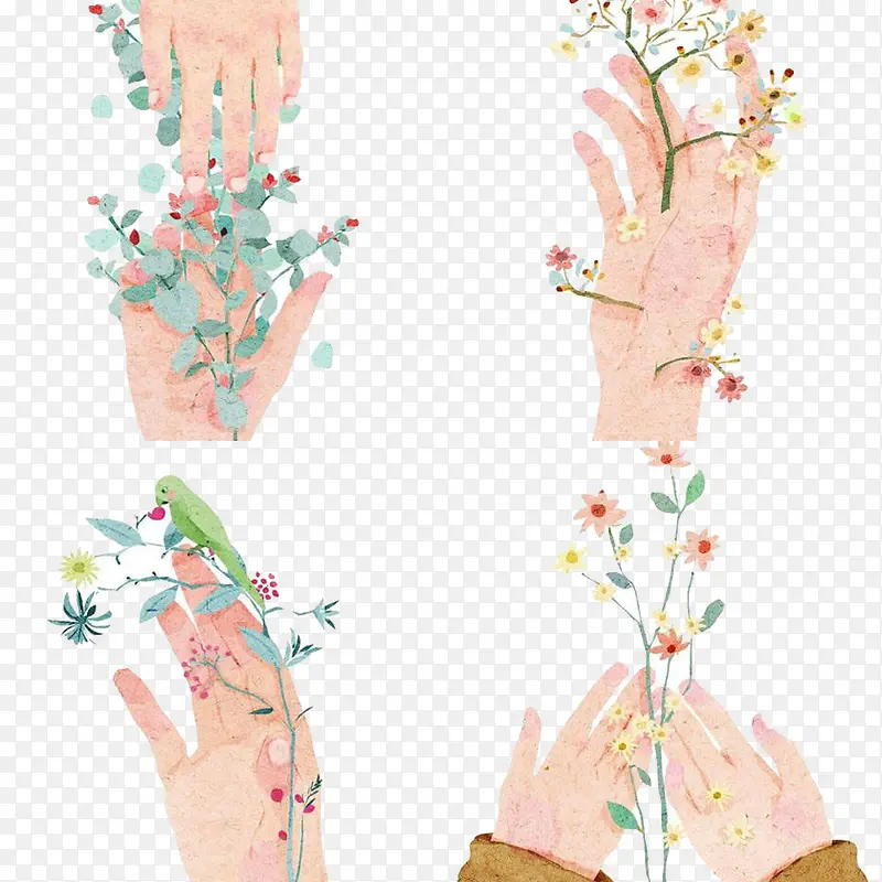 �����ֵ�ͼ��-������