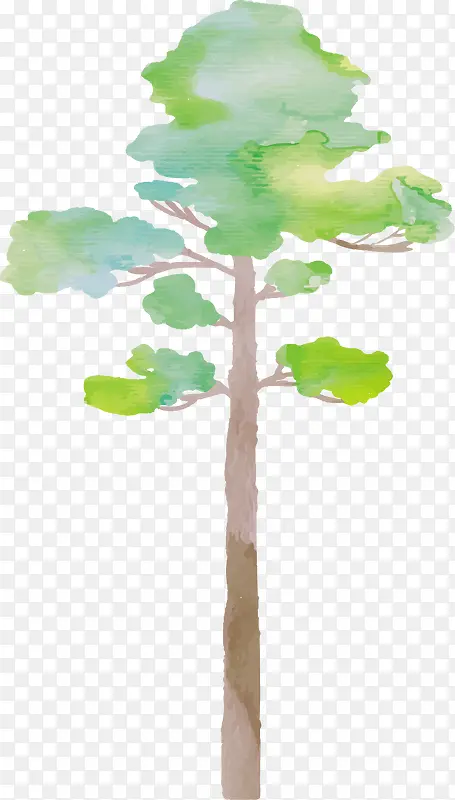 �����Ų���-������