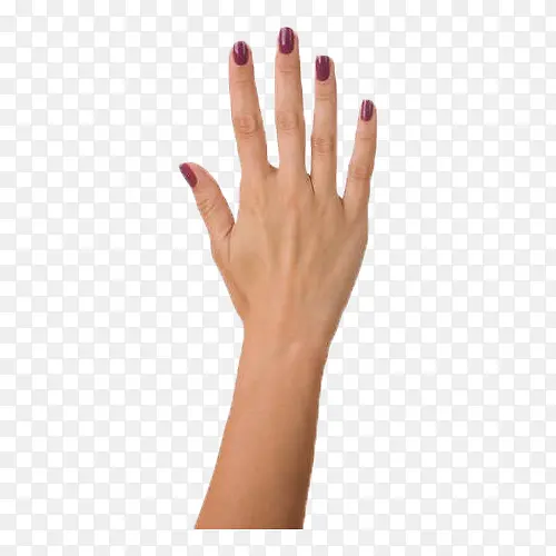 Ů����ʾ��ͼ������-������