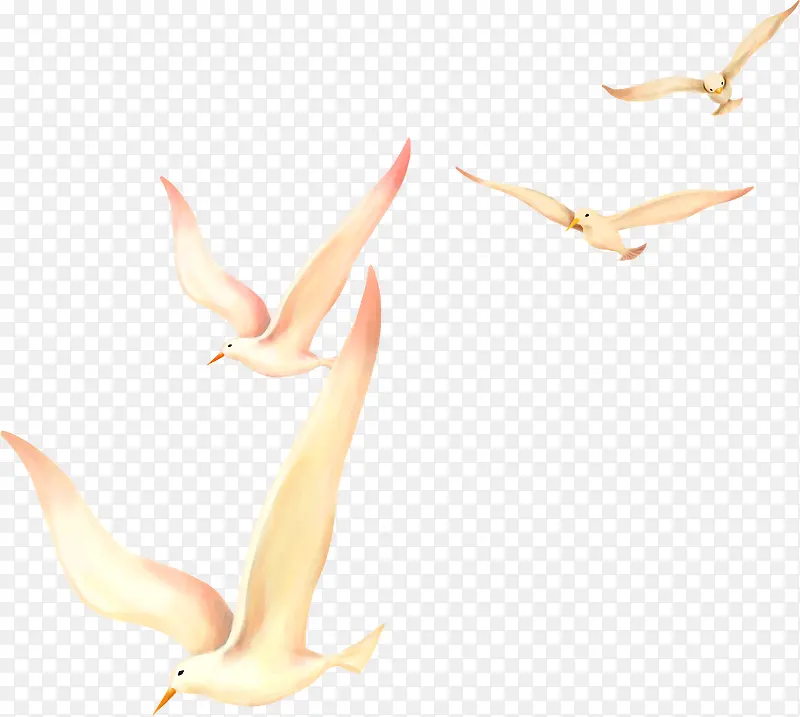 ���崴���ֻ溣Ÿ-������