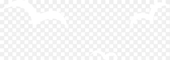 ��ɫ��Ÿ����-������