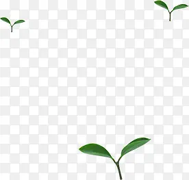 ��ɫ��������С��-������