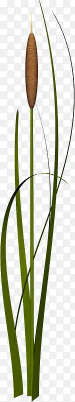 ��ɫ�Ӳ�С��-������