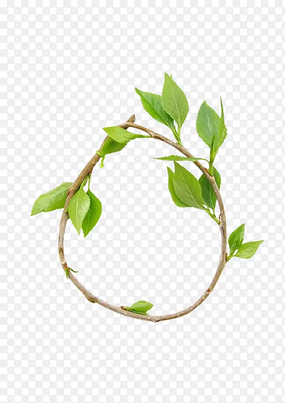 ��Ҷ�߿�-������