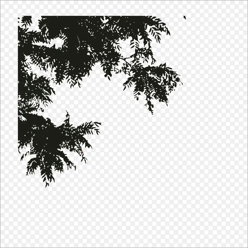 ��Ҷ�߿�-������