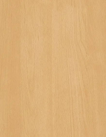 ľ�ʵذ��������-������