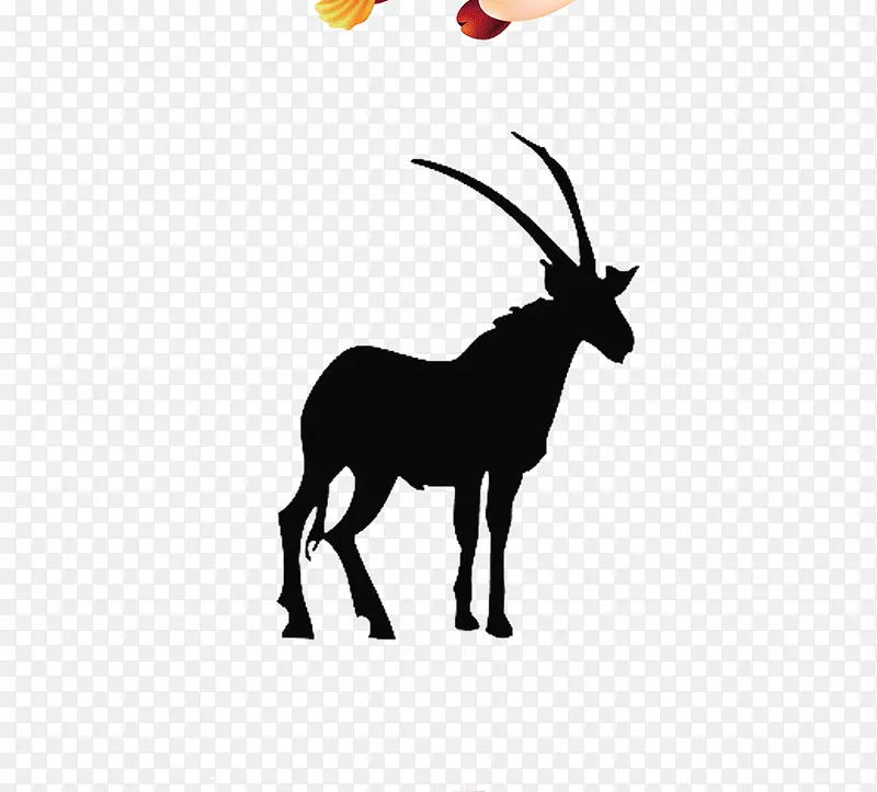 ʮ����Ф  ��   ����-������