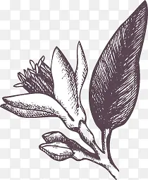 �ֻ�ũ����-������