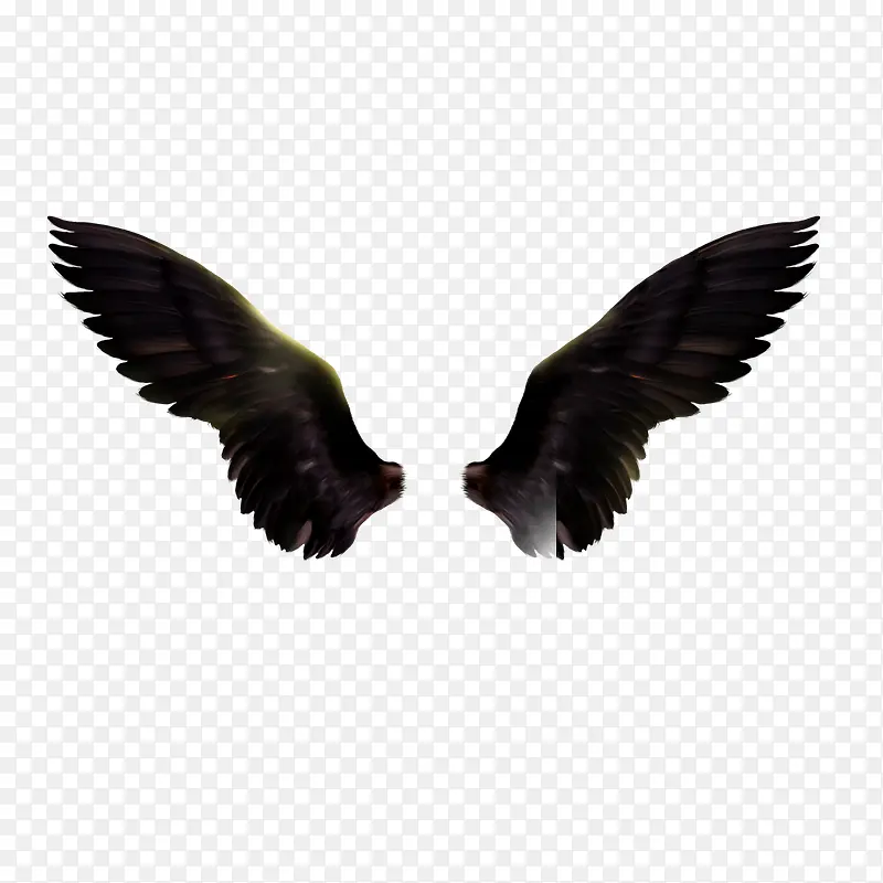 ��ɫ���-������