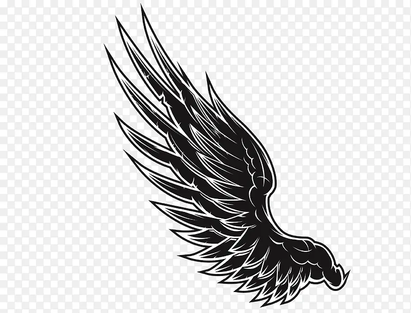 ��ɫ���-������