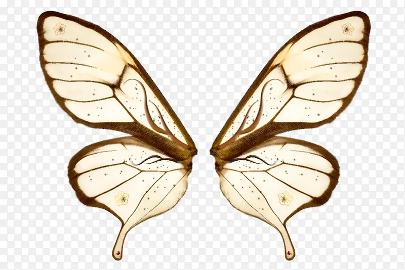 װ������-������