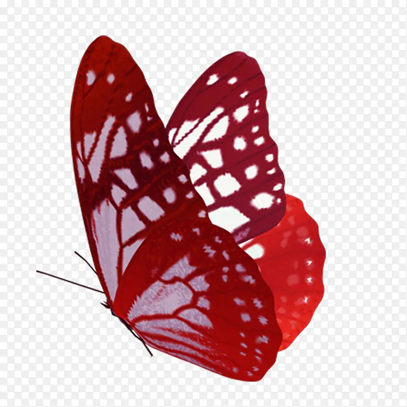 ��ɫ����-������