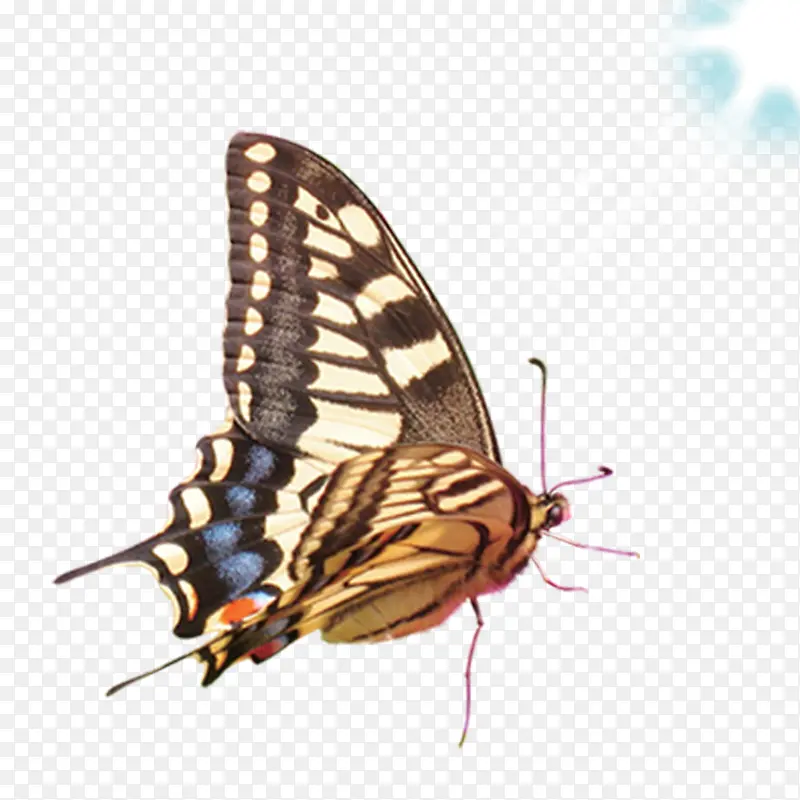 �������-������