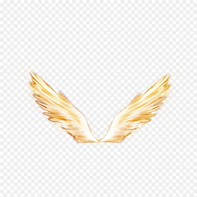 ��ɫ���-������