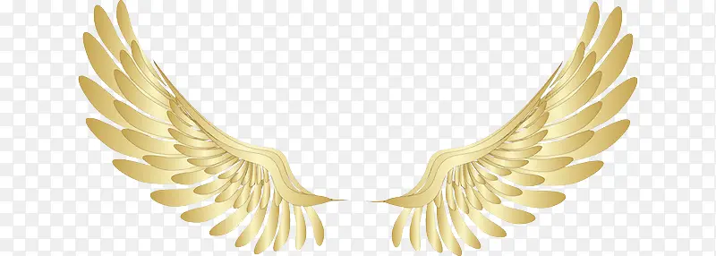 ��ɫ�Ľ�����-������