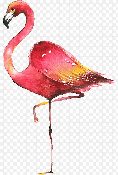 վ���Ļ�����-������