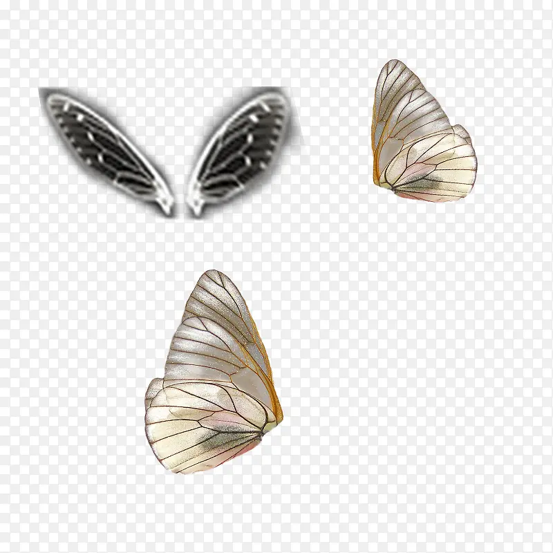 ��۶�����-������