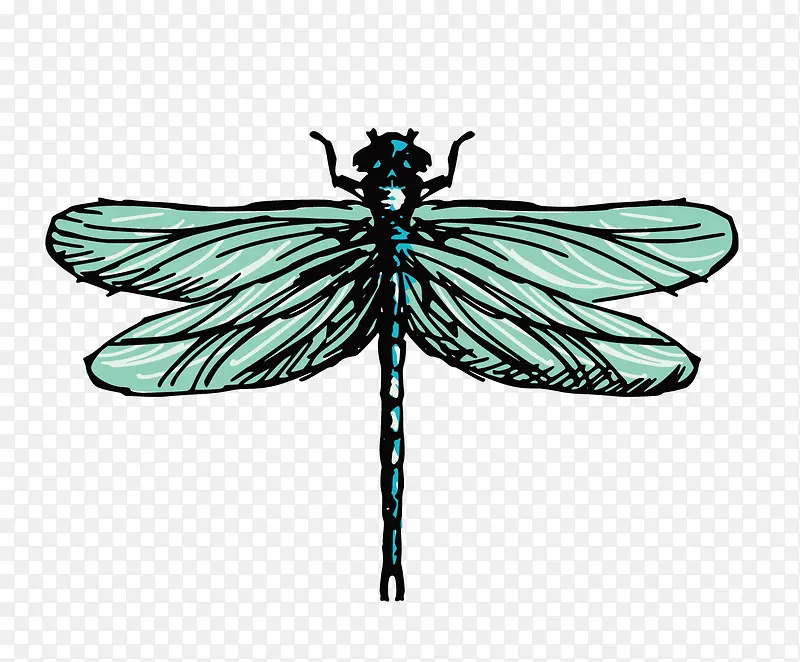 ����-������