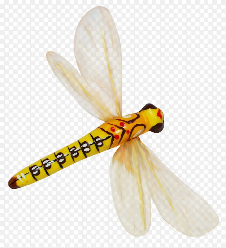 ��ɫ����-������