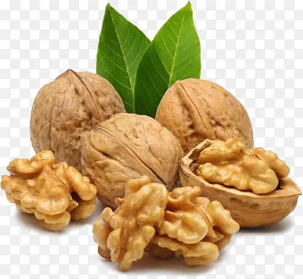 ���� ʳ��-������