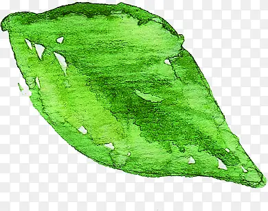 ˮī����ˮ����Ҷ-������