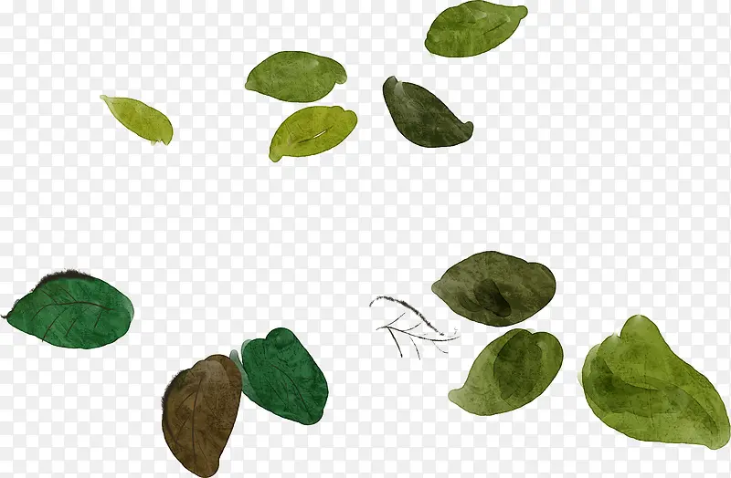 ����ˮ����Ҷװ��-������