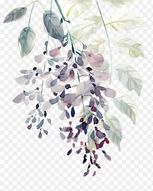 ����ˮ����ɫ��Ҷ-������