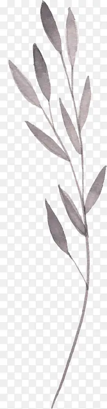 �ֻ�ˮ����Ҷ��Լ-������