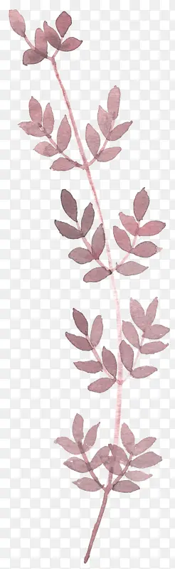 �ֻ�ˮ����Ҷ��Լ����-������