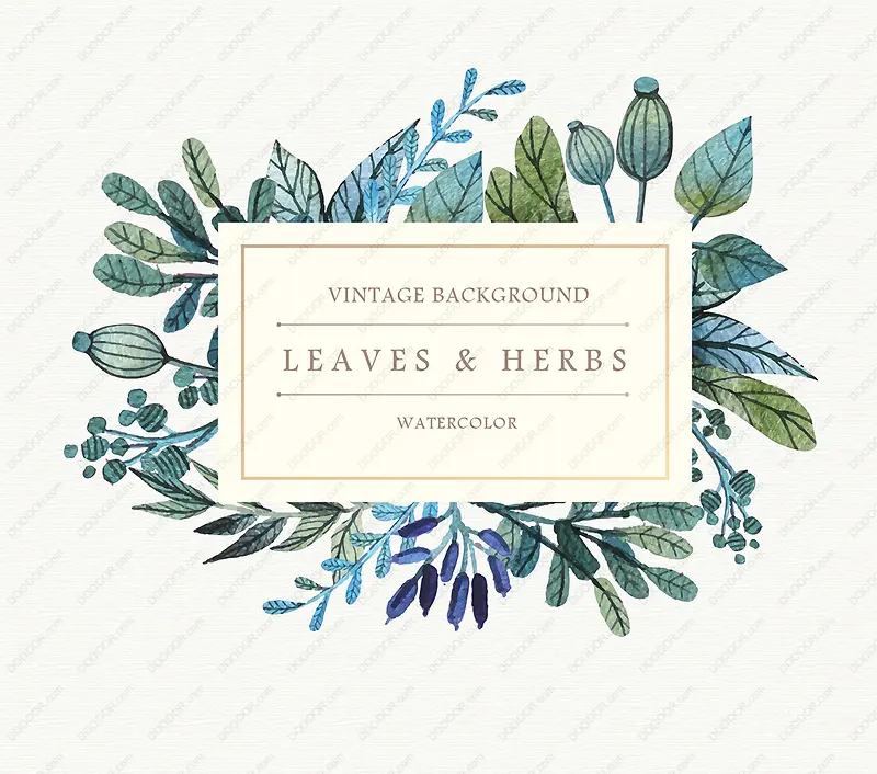 ˮ����Ҷֲ���ǩ-������