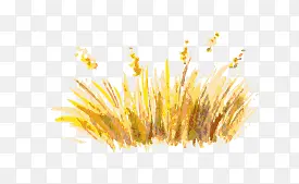 ˮ��ֲ��-������