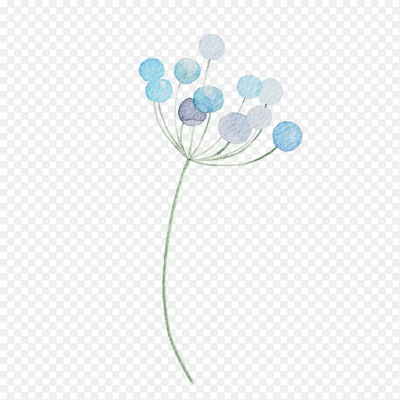 ˮ��ֲ��-������