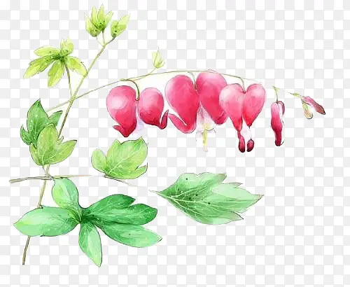 ˮ��ֲ��-������